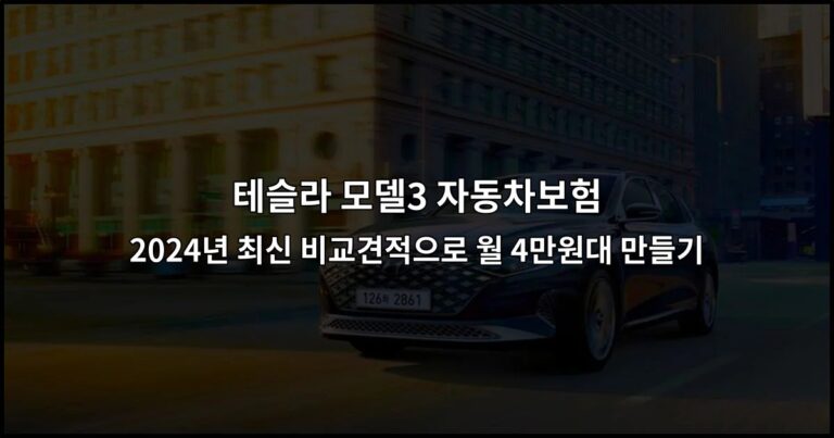 테슬라 모델3 자동차보험 2024년 최신 비교견적으로 월 4만원대 만들기
