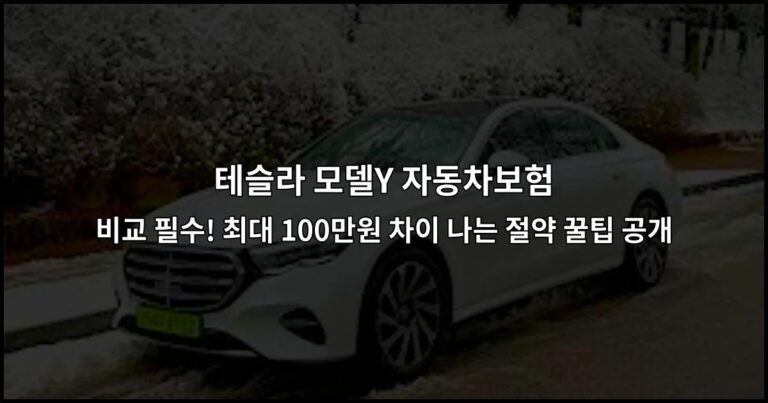 테슬라 모델Y 자동차보험 비교 필수! 최대 100만원 차이 나는 절약 꿀팁 공개