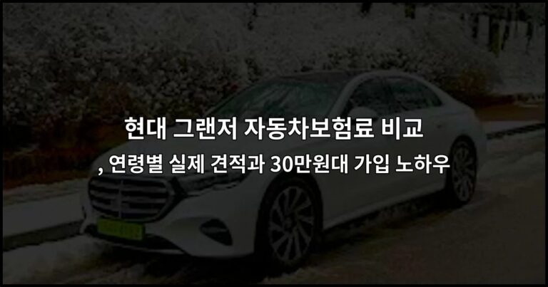 현대 그랜저 자동차보험료 비교 , 연령별 실제 견적과 30만원대 가입 노하우