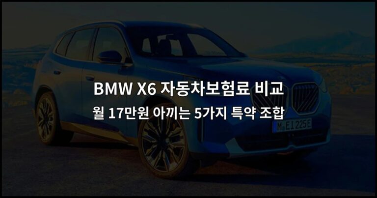 BMW X6 자동차보험료 비교 월 17만원 아끼는 5가지 특약 조합