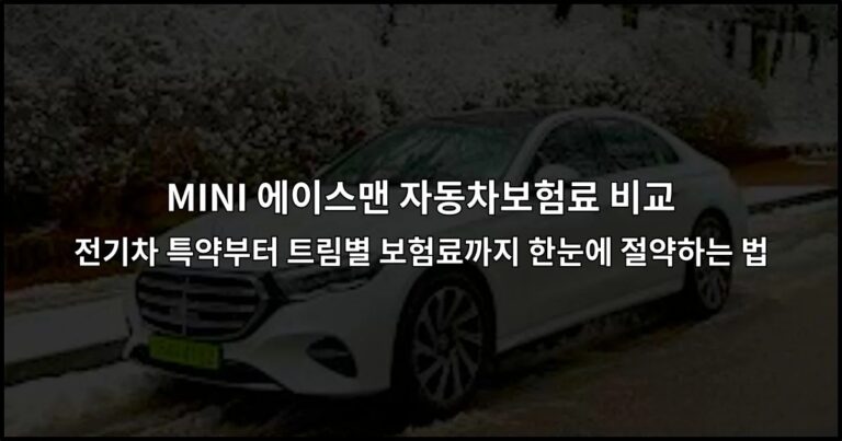 MINI 에이스맨 자동차보험료 비교 전기차 특약부터 트림별 보험료까지 한눈에 절약하는 법